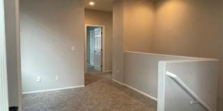 5530 Spiceberry Drive Gallery 20