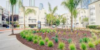 Bayside Village Gallery 41