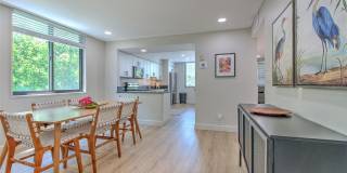 Furnished - Short Term! Gallery 19