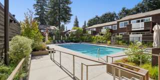Peartree Apartments Gallery 15