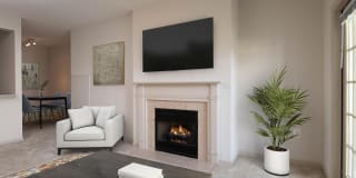 The Courts Of Devon Gallery 6