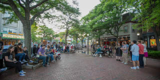 Windsor at Maxwell's Green Gallery 6