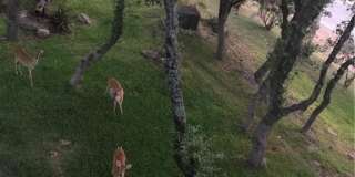 943 Parkview Drive Gallery 12