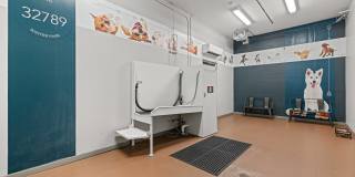 Juno Winter Park Gallery 28