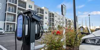 Mosaic at Lake Toho Gallery 34