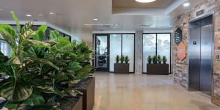 Brickhouse at Lamar Station Gallery 3