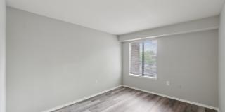 Grove at Alban Gallery 19