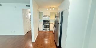 River Oaks Gallery 32