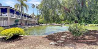 Plenty of Light in an Urban Oasis Gallery 16