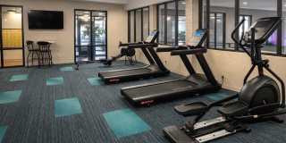 Los Altos Towers Gallery 37