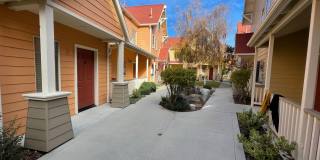 Mission Orchard Gallery 1