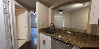 14905 ARBOR SPRINGS CIRCLE 14905 ARBOR SPRINGS CIRCLE Gallery 20
