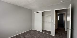 Summer Woods Gallery 25