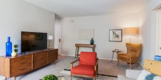 Metropolitan Doylestown Gallery 47