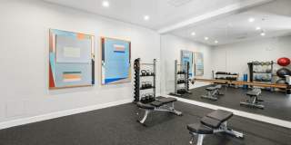 The Presidio Apartments Gallery 13