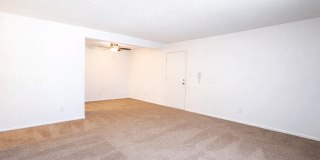 The Lodge Apartments Gallery 13