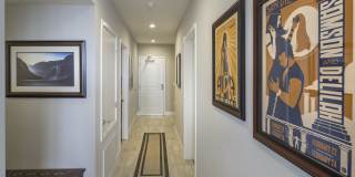 Elan Luxo II Gallery 15
