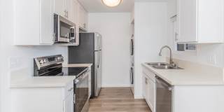 Ocean Vista Gallery 32