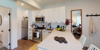 Santa Monica Palms Gallery 1