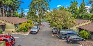The Firs Apartments Gallery 7