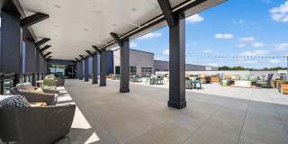 The Galaxy at Polaris Gallery 46