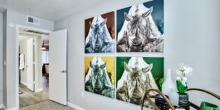 The Julia Gallery 16