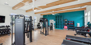 Hamlet Wildlight Gallery 17