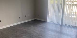 Terra at Ashley Gallery 5