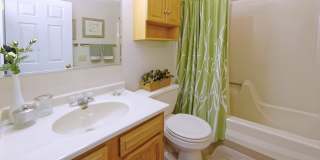 Regency Court Gallery 14
