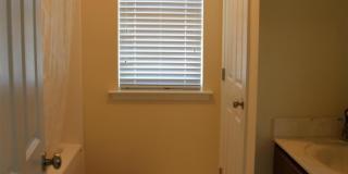 390 ENGLISH OAK Lane Gallery 15