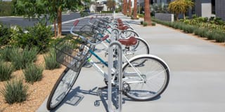 Homecoming at The Resort Apartments Gallery 44