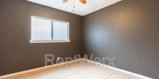 5602 Timber Bark Gallery 15