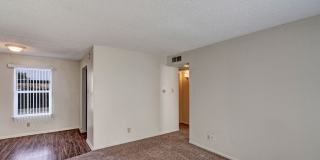 Golden Crest Gallery 10