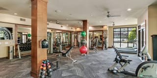 Trinity Bluff & District Urban Apartments Gallery 57