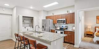 Lugano At Cherry Creek Luxury Apartments Gallery 1