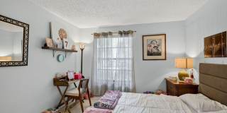 9810 Pineapple Tree Drive Gallery 25