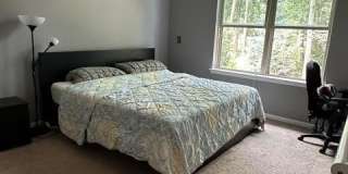 2708 Trillium Hills Drive Gallery 26