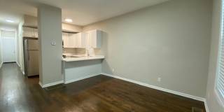 Newly Renovated Modern 3- Bedroom Apartment Gallery 1