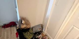 Very Spacious 4bdrm/2bth House on W CARY STREET in the Heart of VCU!!! Gallery 15