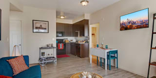 Element 170 Gallery 19