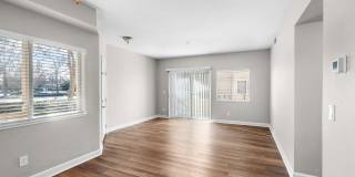 Avery at TownCentre Gallery 174