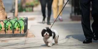 74 Prospect Street Gallery 11