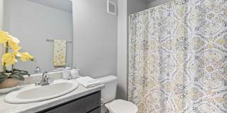 Blue Ridge Commons Gallery 12