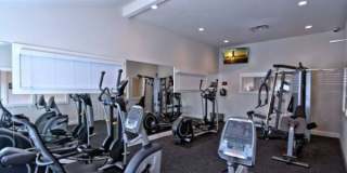 The Augusta at Gruene Garden Apartments Gallery 2