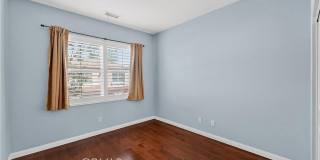 30 Maple Leaf Gallery 3