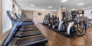 Homecoming at The Preserve Gallery 67