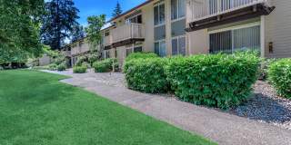 Carrington Gallery 34