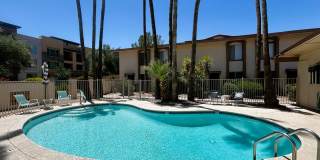 Prime Scottsdale Location! 2 bed 1.5 bath with community pool Prime Scottsdale Location! 2 bed 1.5 bath with community pool Gallery 1