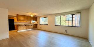 Olive Trees Apartments Gallery 2