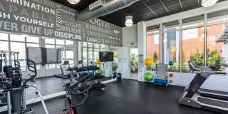 Veridian Shores Gallery 9